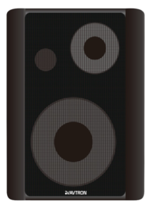 AVTRON 15W PoE IP Network Wall Speaker - AP-EW15P