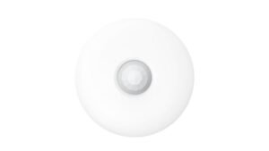 Hikvision Wired Dual-Tech Ceiling Detector - DS-PDCL12DT-EG2